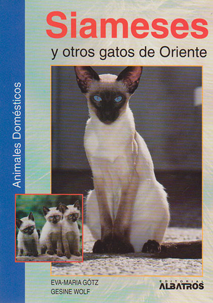 Siameses y otros gatos de oriente