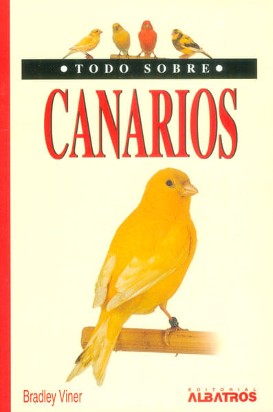 Todo sobre canarios