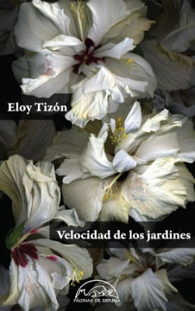 Velocidad De Los Jardines
