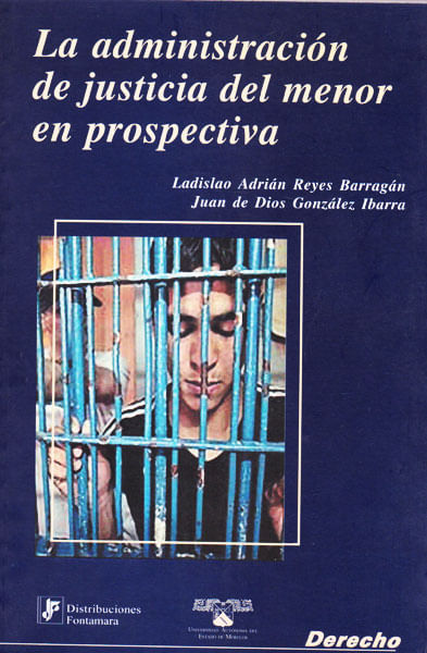 la-administracion-de-justicia-del-menor-en-prospectiva-9789684766464-camp