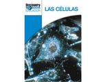 18_las_celulas