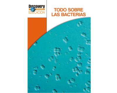 27_todo_bacterias