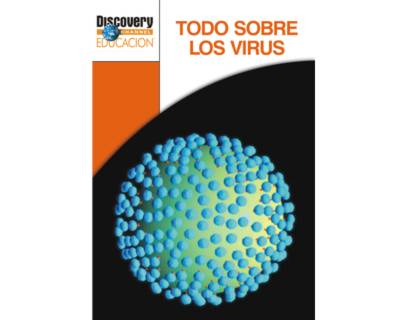 28_todo_virus