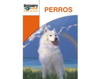 32_perros