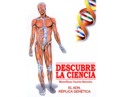 44_descubre_adn_replica