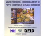 10_plaza_mercado_dida