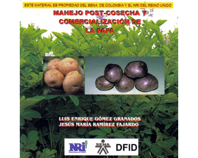 17_cosecha_papa_dida