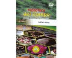 3_abonos_paed