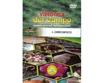 6_lombri_paed