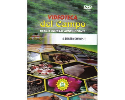 6_lombri_paed