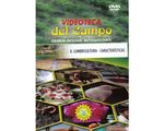 8_lombro_cara_paed
