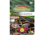 33_cerdos_produccion_paed