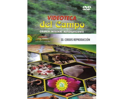 33_cerdos_produccion_paed
