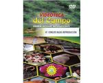47_conejos_reproduccion_paed