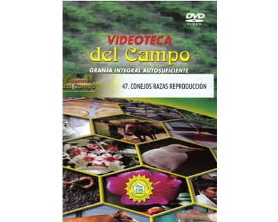 47_conejos_reproduccion_paed