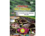 38_cultivos_setas_paed