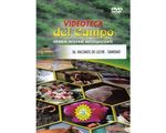 36_vacunos_leche_paed