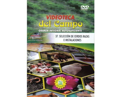 37_seleccion_cerdos_paed