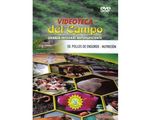50_pollos_nutricion_paed