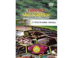 57_almibar_papayuela_paed