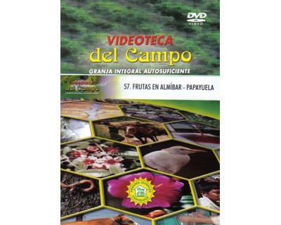 57_almibar_papayuela_paed