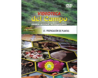 Propagación de plantas