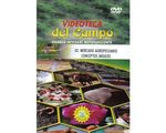 62_mercado_conceptos_paed