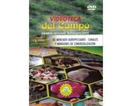 63_mercado_canales_paed