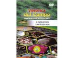 85_pastos_calido_medio_paed