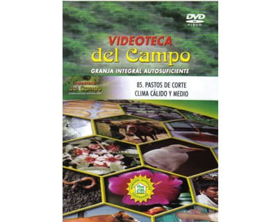 85_pastos_calido_medio_paed