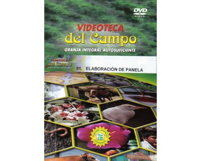 91_panela_paed
