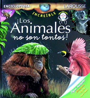 ¡Los animales no son tontos!