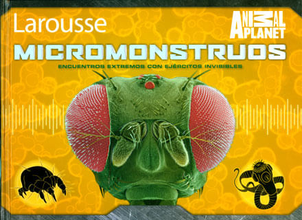 Micromonstruos