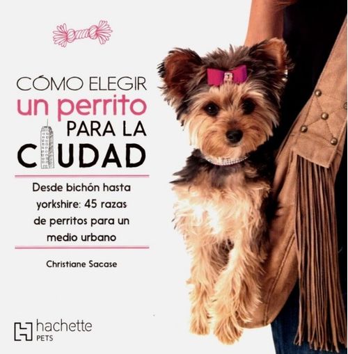 Como Elegir Un Perrito Para La Ciudad