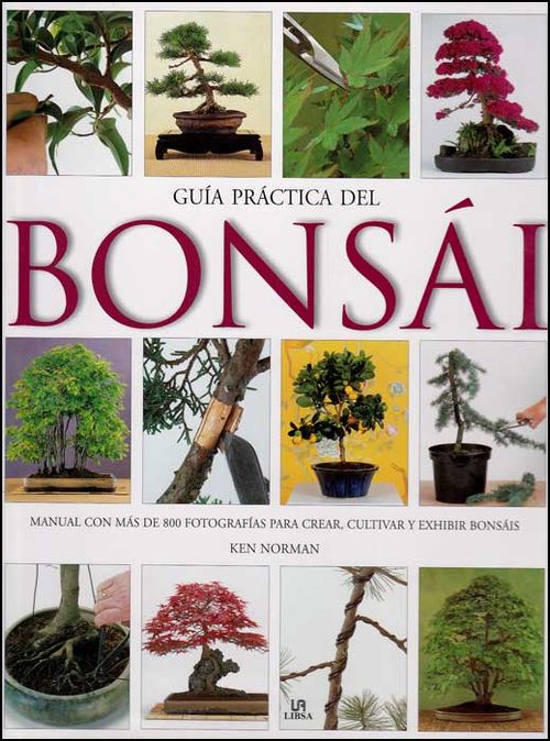 Guía práctica del bonsái