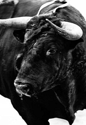 Sangre De Reyes