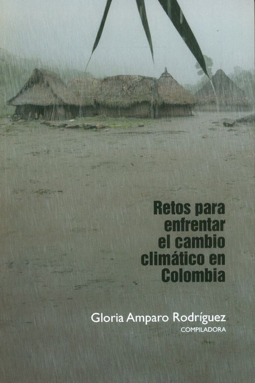 Retos Para Enfrentar El Cambio Climático En Colombia