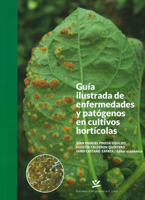 Guía Ilustrada De Enfermedades Y Patógenos En Cultivos Hortícolas