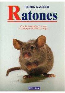 Ratones