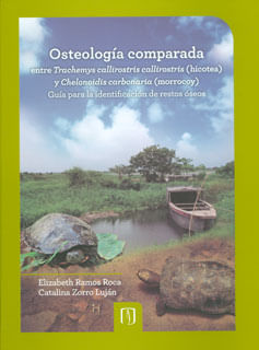 Osteología comparada entre Trachemys callirostris callirostris hicotea y Chelonoidis carbonaria morrocoy Guía para la identificación de restos óseos