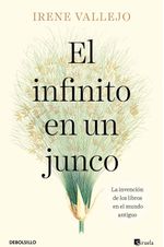 el-infiniti-en-un-junco-panamericana