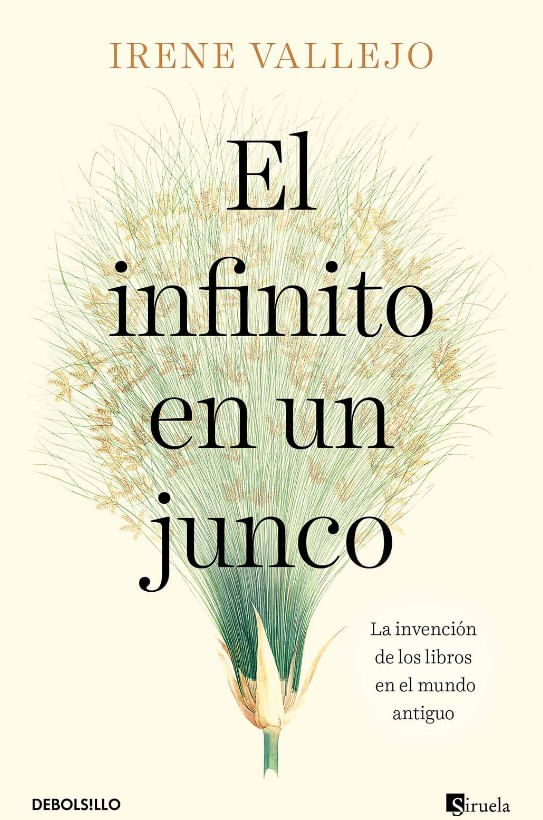 el-infiniti-en-un-junco-panamericana