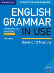 English Grammar In Use Without Answers 5Th Edition