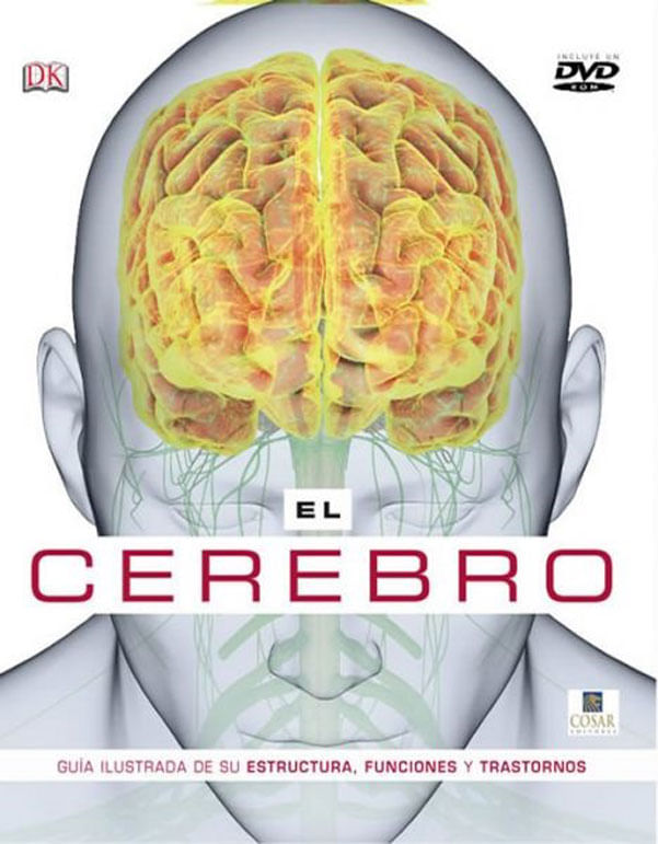 el-cerebro-9781409339670-medi