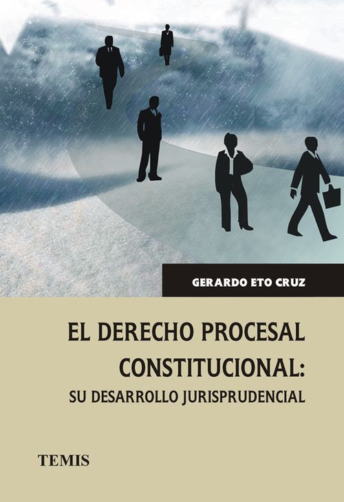 El derecho procesal constitucional su desarrollo jurisprudencial