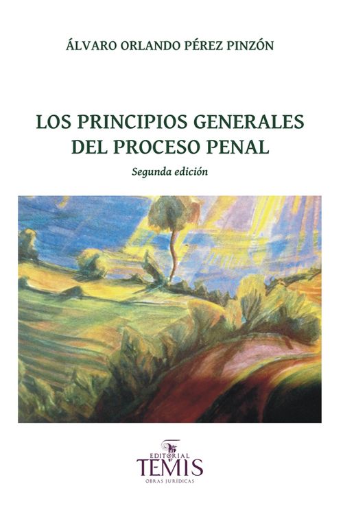 Los principios generales del proceso penal