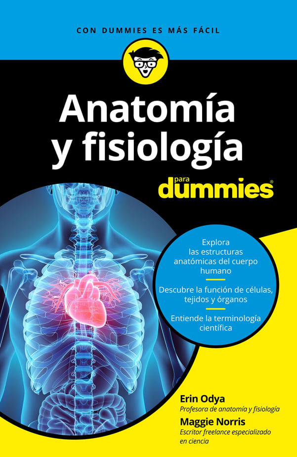 anatonmia-9788432904271-plan