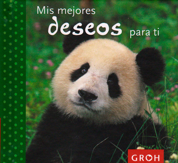 Mis-mejores-deseos-9788490680056-dipon