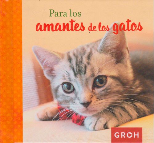Para los amantes de los gatos