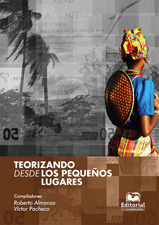 teorizando-desde-los-pequenos-lugares-9789587462975-umag